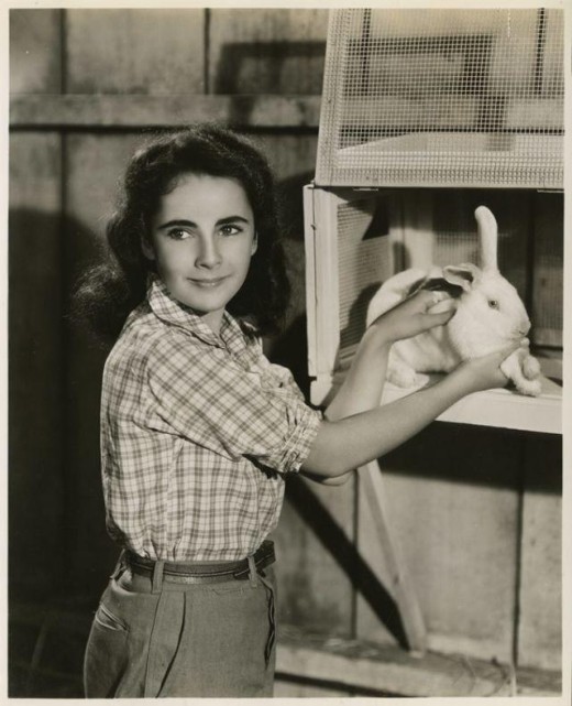 elizabeth taylor national velvet